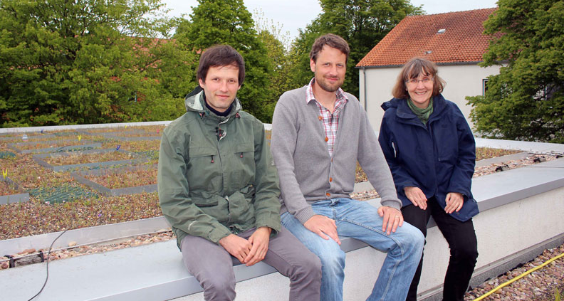 Gemeinsam forschen sie seit Januar 2017 im Projekt „RooBi – Roofs for Biodiversity“ an der Hochschule Osnabrück: (von links) die wissenschaftlichen Mitarbeiter Daniel Jeschke und Dr. Roland Schröder sowie Prof. Dr. Kathrin Kiehl.
