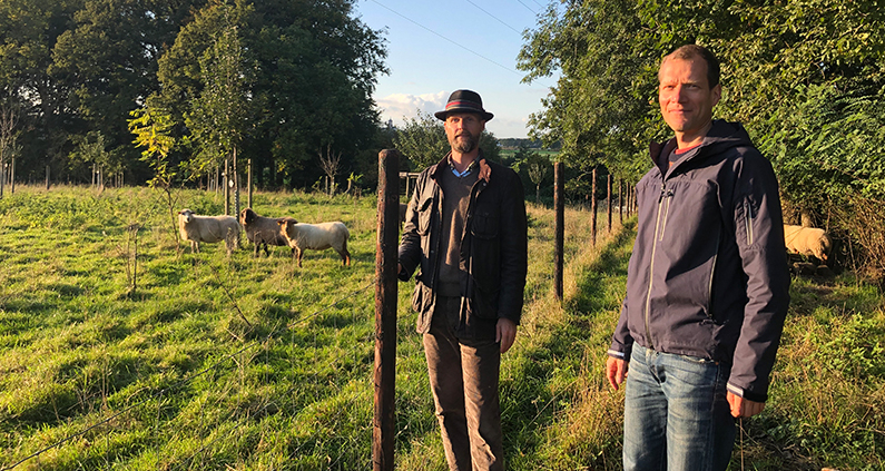Prof. Jens Gebauer und Prof. Dietrich Darr (von links) von der Hochschule Rhein-Waal begutachten eine neu angelegte Streuobstwiese in Kleve.