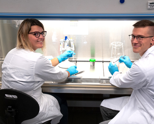 Fabienne Reiß und Leon Sohl präparieren Bienen an einer sterilen Werkbank im Biochemie-Labor der Hochschule. Dann kann das Oberflächenmikrobiom untersucht werden.